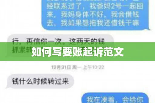 如何写要账起诉范文
