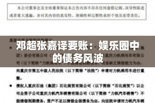 邓超张嘉译要账：娱乐圈中的债务风波