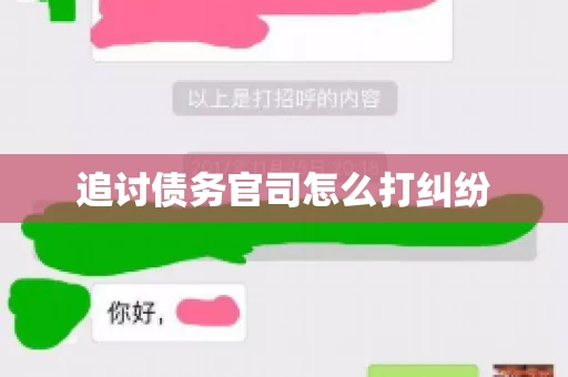 追讨债务官司怎么打纠纷